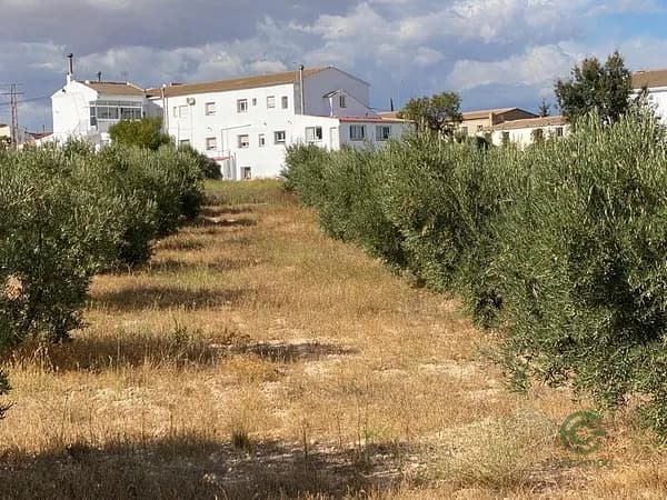 Finca rústica de 0,5 ha en venta en Alcontar, Almeria