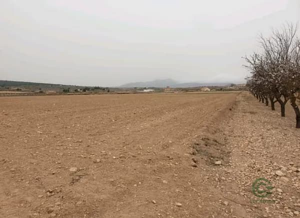 Finca rústica de 2,18 ha en venta en Pinoso, Alicante