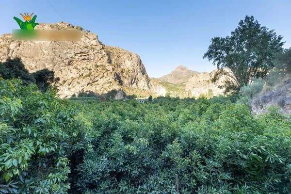 Finca agrícola de 8 ha en venta en Granada