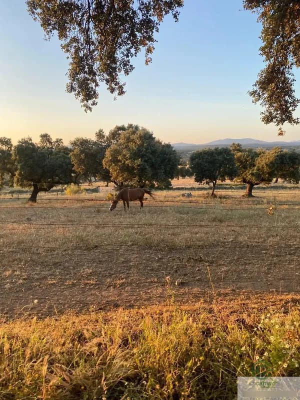Finca rústica de 500 ha en venta en Badajoz, Badajoz
