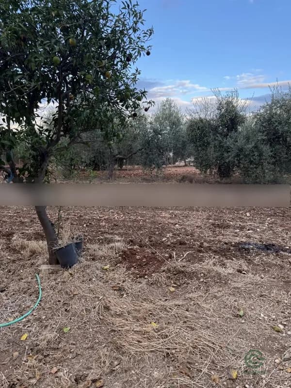 Finca agrícola de 1 ha en venta en Carlota (la), Cordoba