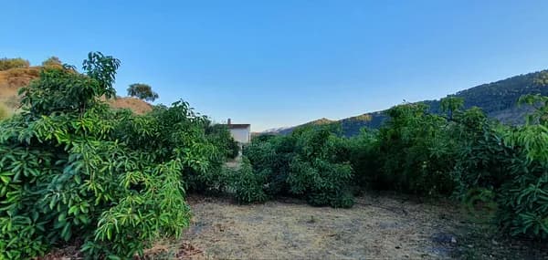 Finca agrícola de 1,4 ha en venta en Yunquera, Malaga