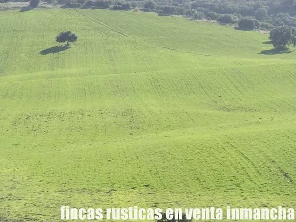 Finca agrícola de 47 ha en venta en Ciudad real