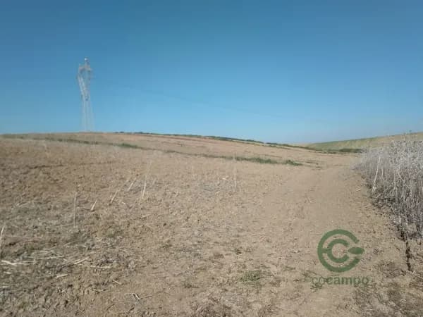 Finca agrícola de 1 ha en venta en Sevilla