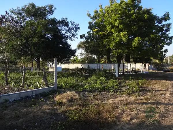 Terreno urbano de 0,07 ha en venta en Veracruz