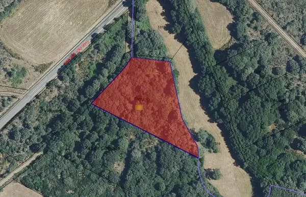 Finca agrícola de 0,59 ha en venta en Orense