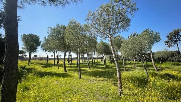 Finca rústica de 0,2 ha en venta en Leganes, Madrid