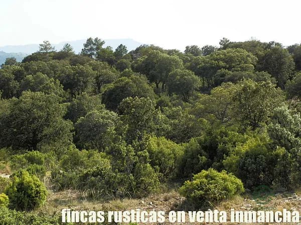 Finca cinegética de 460 ha en venta en Murcia