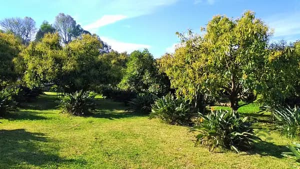 Finca rústica de 0,29 ha en venta en Estado de méxico