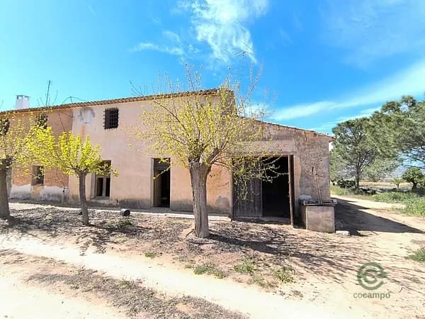 Finca rústica de 0,017 ha en venta en Yecla, Murcia