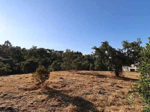 Finca rústica de 0,4988 ha en venta en Salir, Algarve