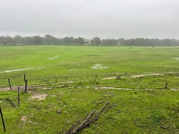Finca rústica de 103 ha en venta en Ávila