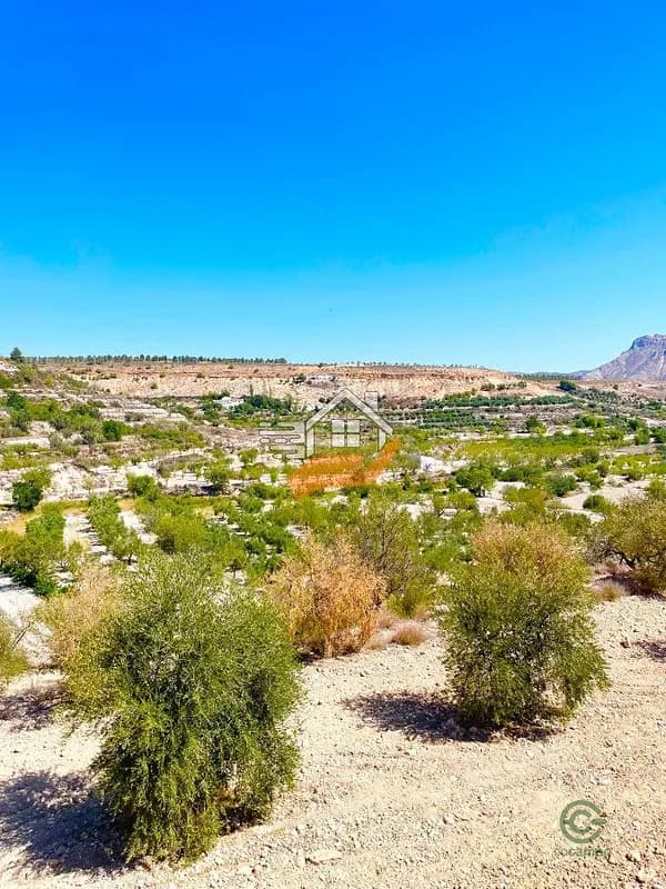 Finca agrícola de 0,6592 ha en venta en Velez-blanco, Almeria