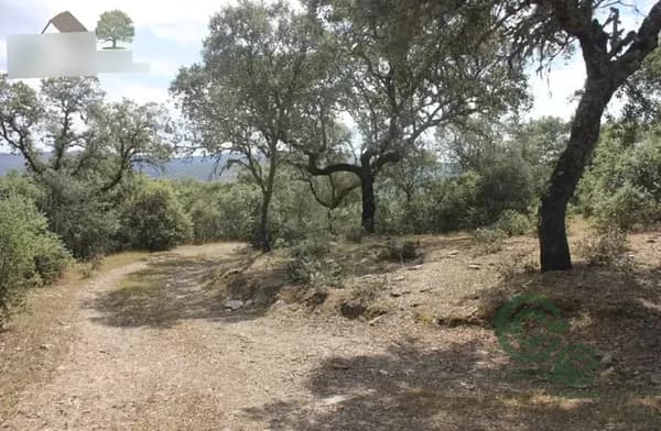 Finca rústica de 72 ha en venta en Cáceres