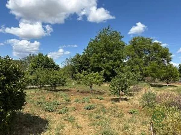 Finca rústica de 0,055 ha en venta en Castejon del puente, Huesca