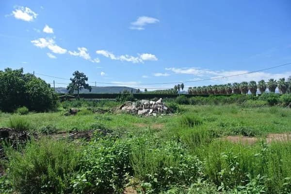 Terreno urbano de 1,5 ha en venta en Denia, Alicante