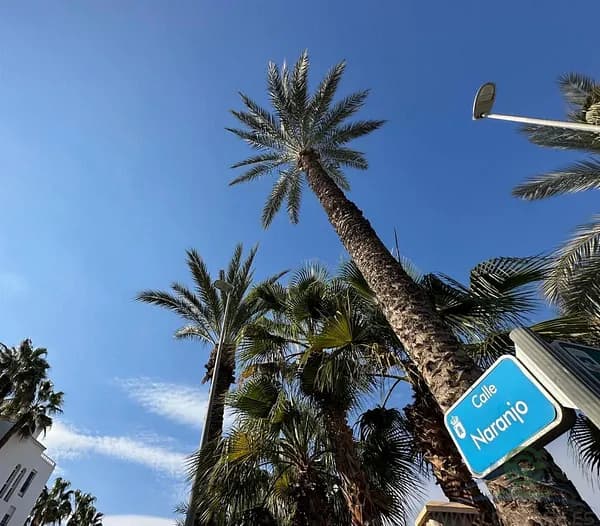 Casa de 0,08 ha en venta en Aguadulce, Almería