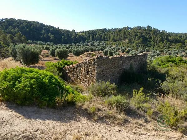 Finca agrícola de 3,48 ha en venta en Mazaleon, Teruel