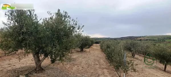 Finca rústica de 0,9 ha en venta en Tarrega, Lleida