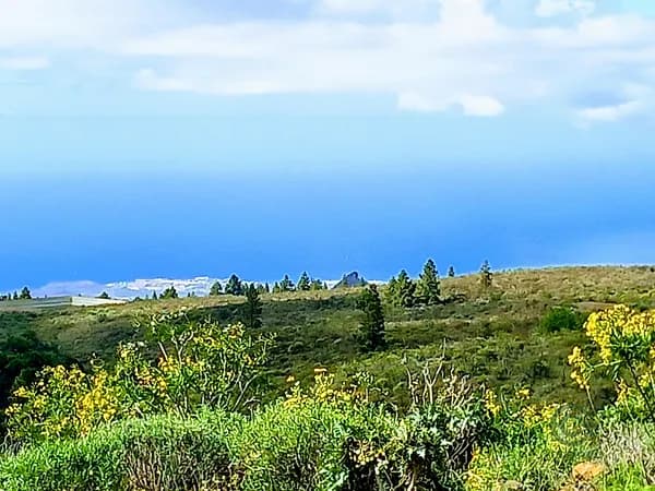 Finca rústica de 3,4471 ha en venta en Vilaflor, Santa cruz de tenerife