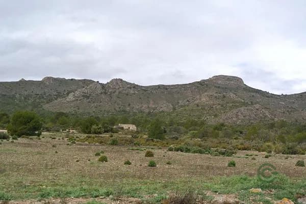 Finca rústica de 595 ha en venta en Yecla, Murcia
