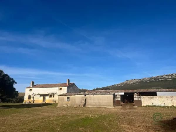 Finca rústica de 180 ha en venta en Cáceres