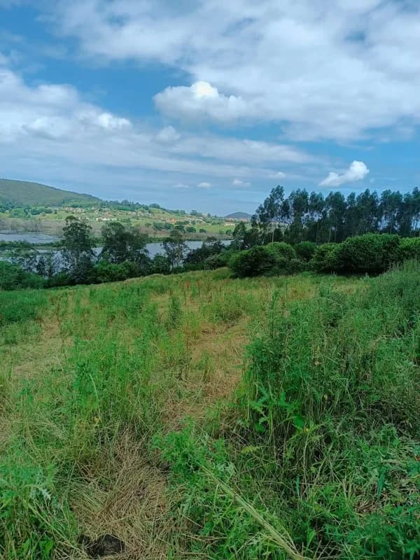 Finca rústica de 1,5 ha en venta en Cantabria
