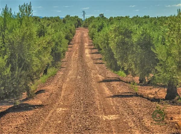 Finca rústica de 645,6457 ha en venta en Jaén