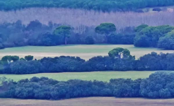 Finca rústica de 500 ha en venta en Segovia