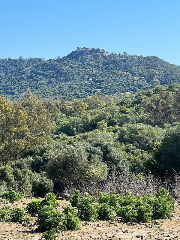 Finca rústica de 28 ha en venta en Cádiz