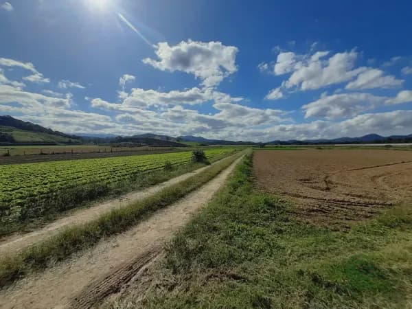 Terreno industrial de 3 ha para venda em Santa catarina