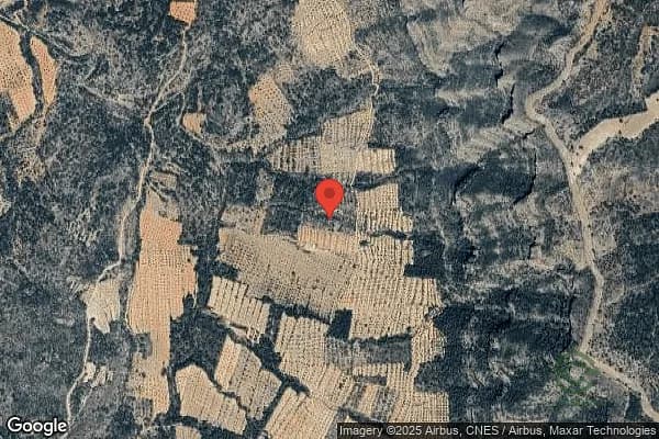 Finca agrícola de 1,6 ha en venta en Valencia