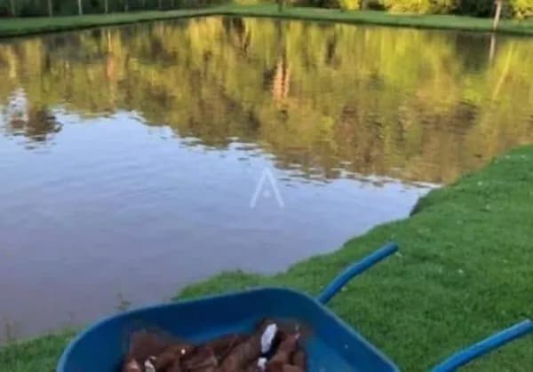 Fazenda rustica de 2 ha para venda em Paraná