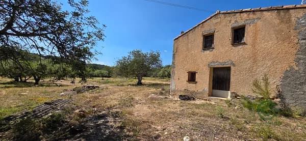 Finca agrícola de 14,438 ha en venta en Tivissa, Tarragona