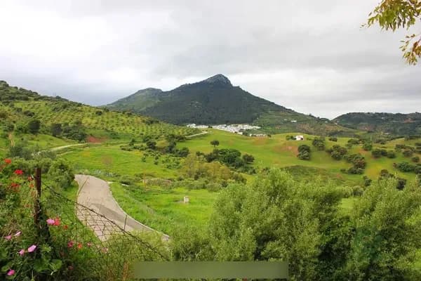 Finca agrícola de 5,1664 ha en venta en El gastor, Cadiz