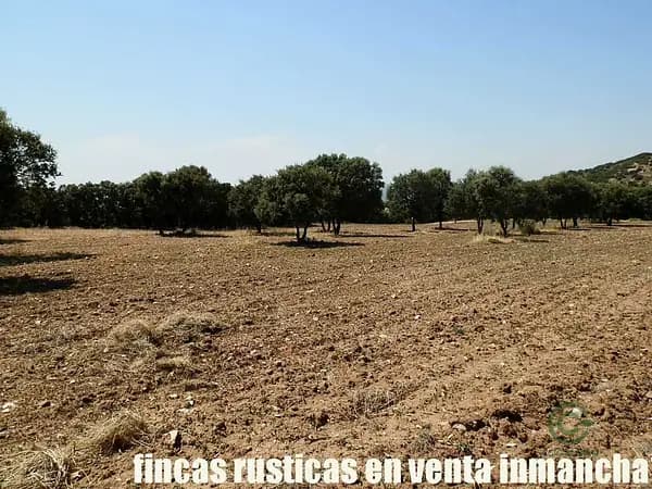 Finca rústica de 118 ha en venta en Guadalajara