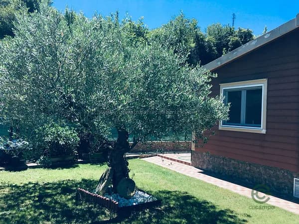 Finca de recreo de 0,05 ha en venta en Viguera, La rioja