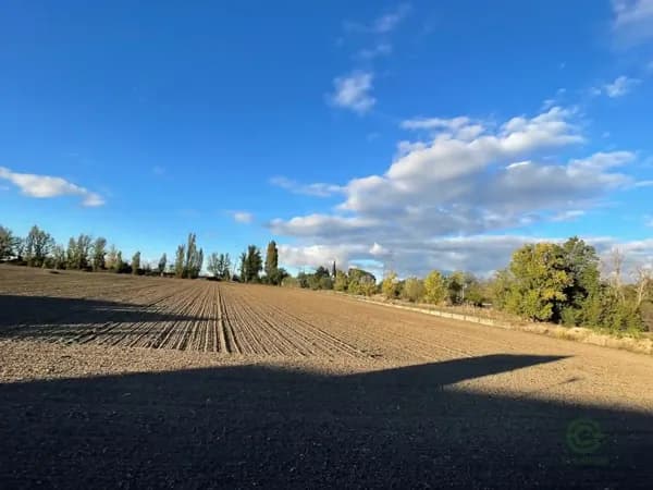 Finca agrícola de 0,6 ha en venta en Laguna de duero, Valladolid