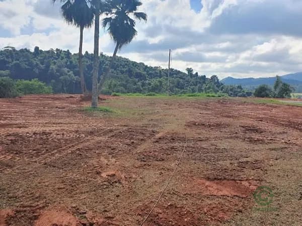 Fazenda rustica de 2 ha para venda em Minas gerais