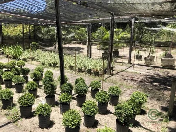 Fazenda agrícola de 3,5 ha para venda em Bahia