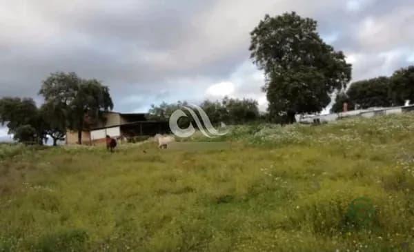 Finca rústica de 3,1 ha en venta en Córdoba, Córdoba