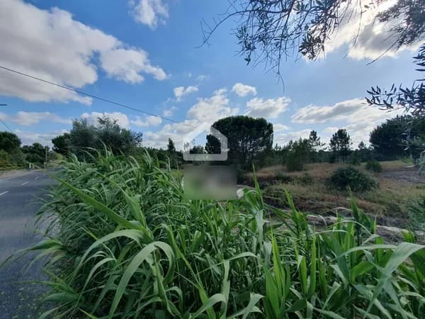 Finca rústica de 3,883 ha en venta en Coruche, Santarém