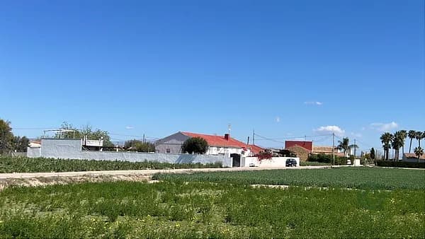 Finca rústica de 0,1524 ha en venta en Dolores, Alicante