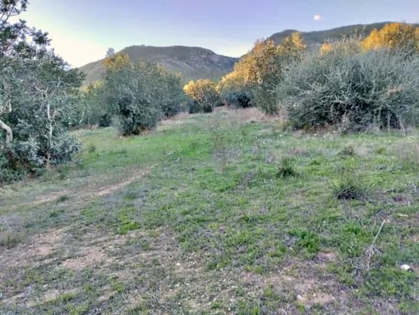 Finca agrícola de 1,29 ha en venta en Xerta, Tarragona