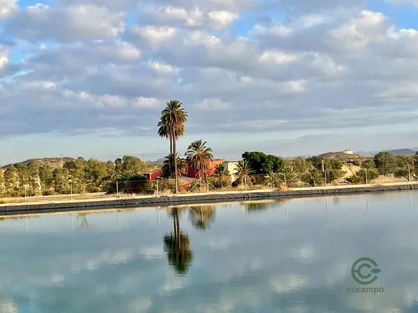 Finca agrícola de 25,9 ha en venta en Almería