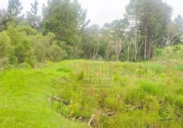 Fazenda rustica de 1,16 ha para venda em São paulo