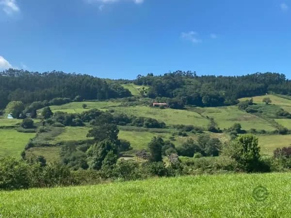 Finca rústica de 4 ha en venta en Asturias