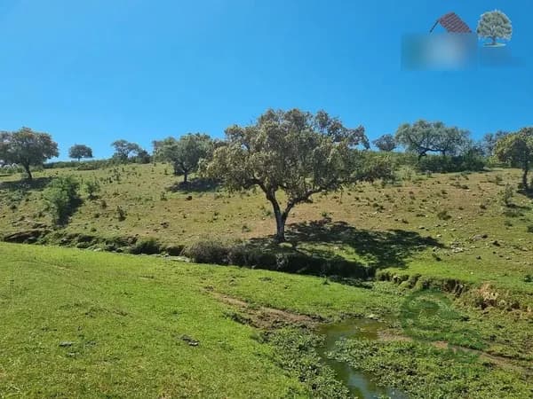 Finca rústica de 360 ha en venta en Badajoz