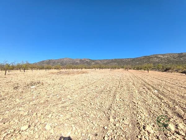 Finca rústica de 4,0649 ha en venta en Pinoso, Alicante