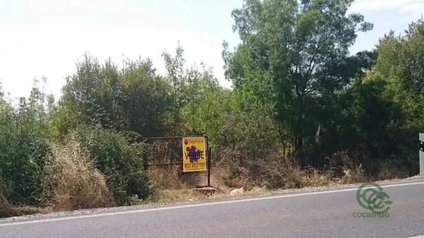 Finca rústica de 0,31 ha en venta en Palazuelos de eresma, Segovia